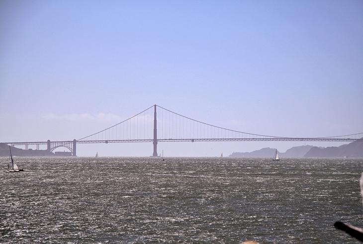 The Golden Gate Bridge as seen from the ferry / Die Golden Gate Bridge von der Fähre aus