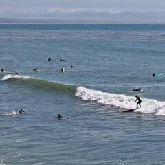Surfers at Pleasure Point, Santa Cruz