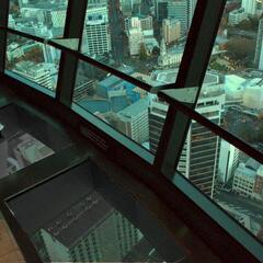 Glass Floor at Sky Tower
