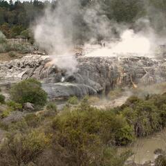 Geothermal area, Whakarewarewa