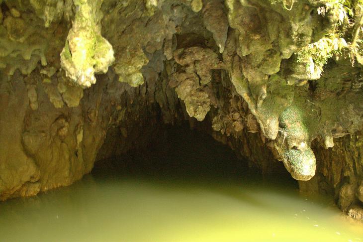 Waitomo Glow-worm Cave (Entrance)