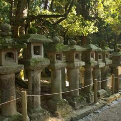 Toro (Stone lanterns) near Kasuga Taisha Shrine