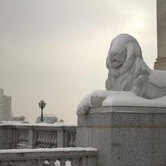 Lion at Utah State Capitol
