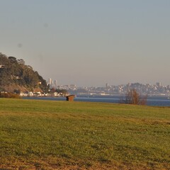 Hauke Park with San Francisco in the Background