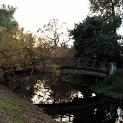 A bridge in the Arboretum